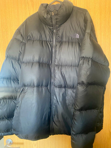 The north face men - the, men's