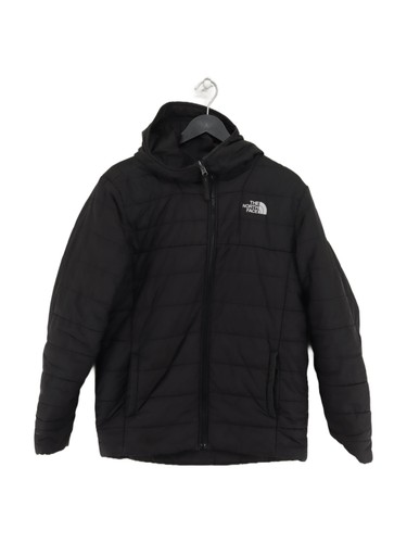 The north face men - the, men's