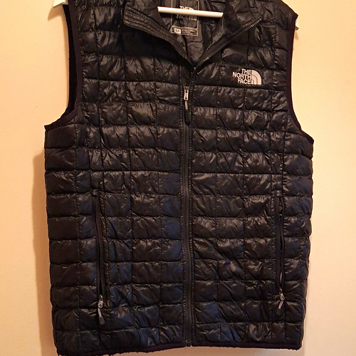 The north face black quilted - the,