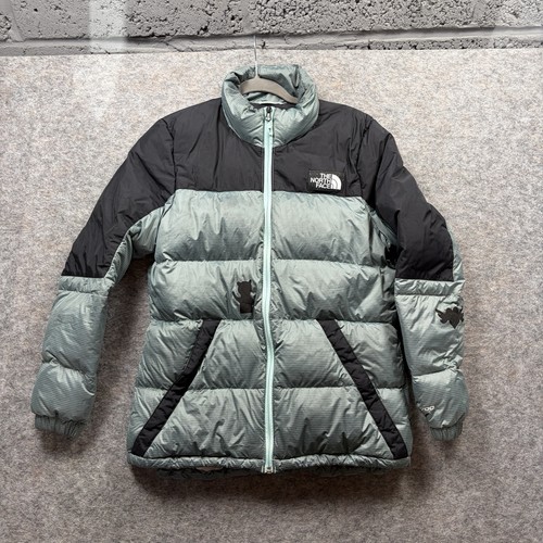 The north face puffer - puffer, jacket