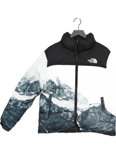 The north face men - face, coat