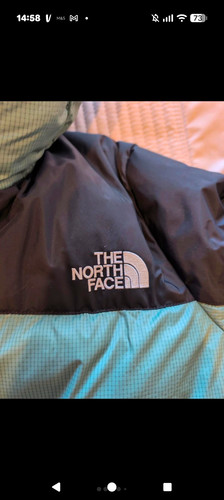 The north face 700 fill - the,