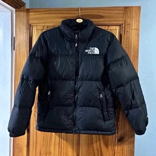 The north face 700 down - face,