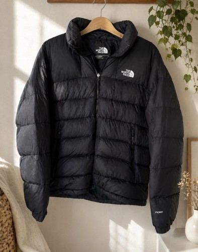 The north face 700 down - face,